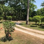 listing image thumbnail with ID 83976