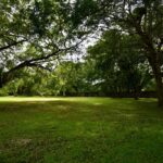 listing image thumbnail with ID 83982