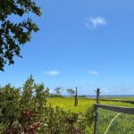 listing image thumbnail with ID 74594