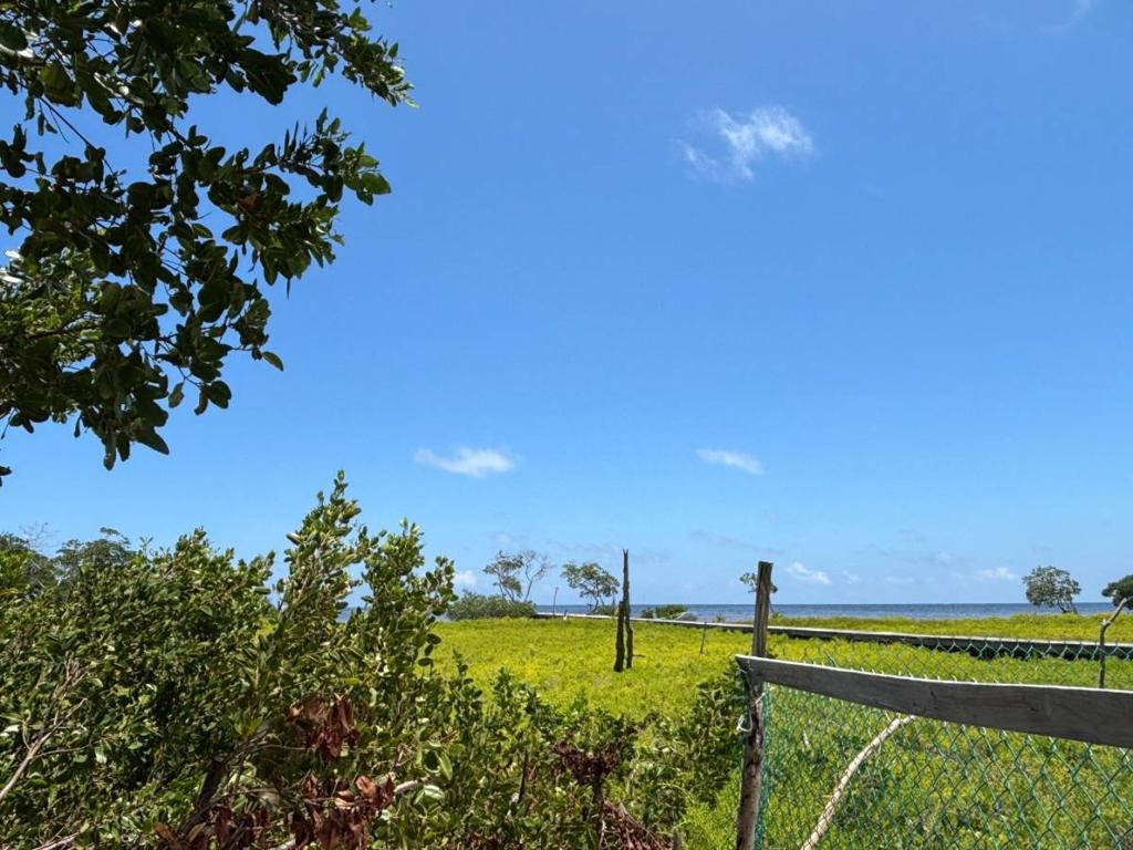 listing image with ID 74594