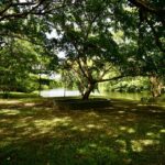 listing image thumbnail with ID 84009