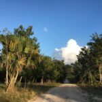 listing image thumbnail with ID 78646