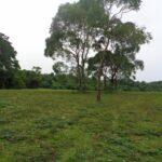 listing image thumbnail with ID 104440