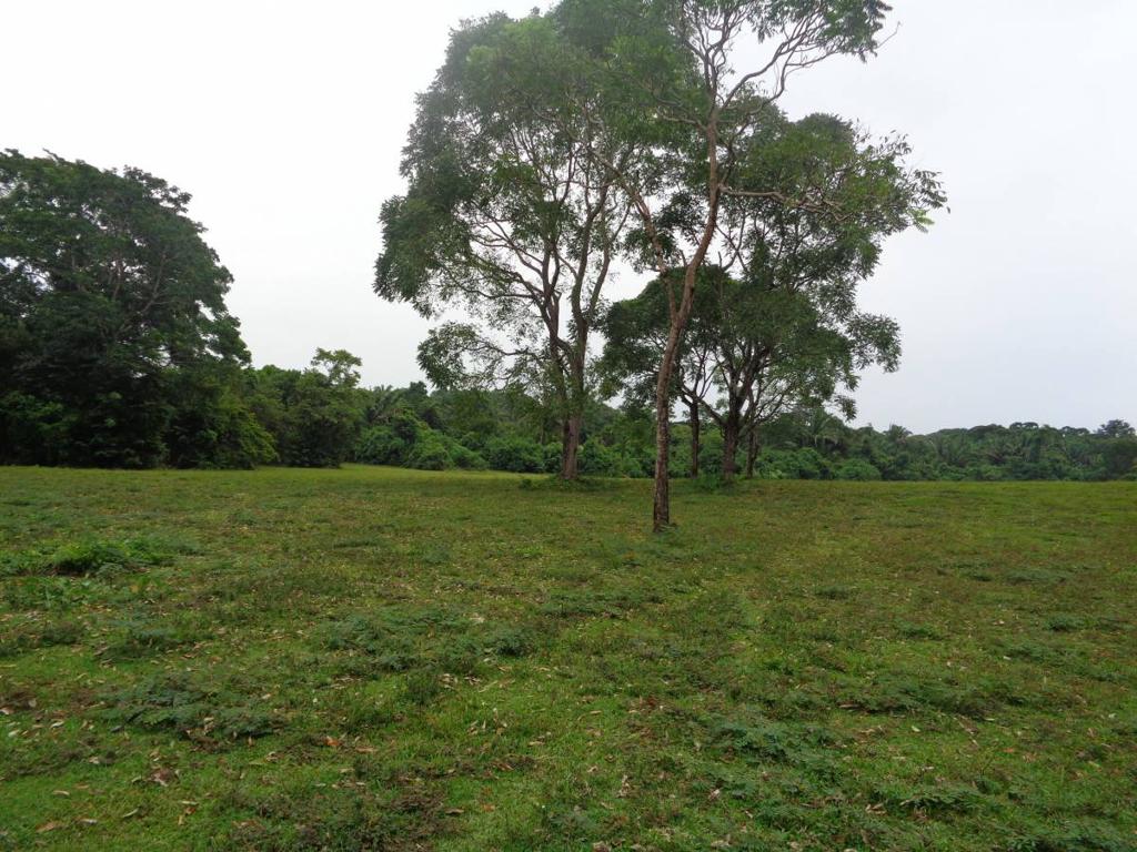 listing image with ID 104440