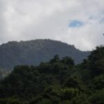 listing image thumbnail with ID 101927