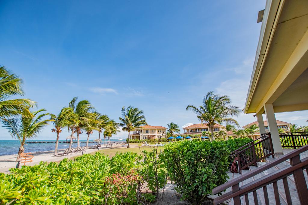listing image with ID 97411