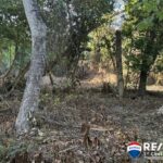 listing image thumbnail with ID 75973