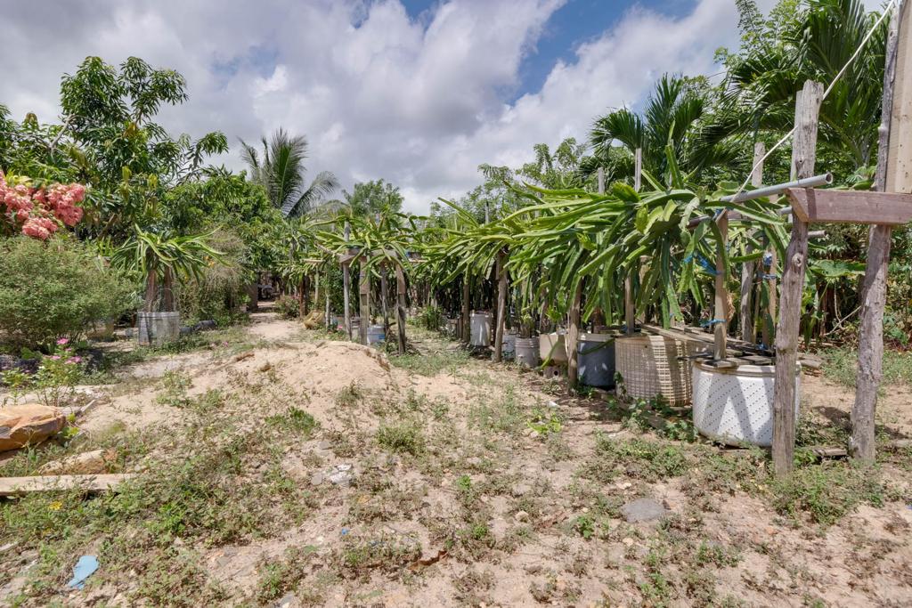 listing image with ID 104802