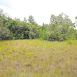 listing image thumbnail with ID 82674