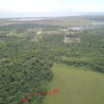 listing image thumbnail with ID 77845