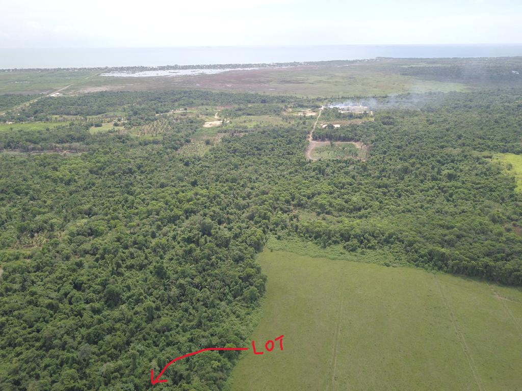 listing image with ID 77845