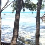 listing image thumbnail with ID 101614