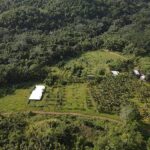 listing image thumbnail with ID 94295