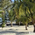 listing image thumbnail with ID 92781