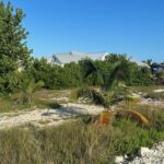 listing image thumbnail with ID 108736