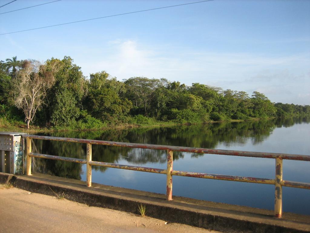listing image with ID 98288