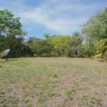 listing image thumbnail with ID 82043