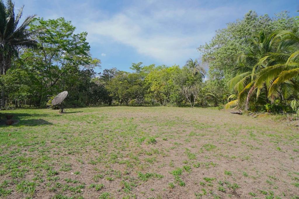 listing image with ID 82043