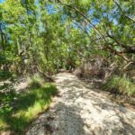 listing image thumbnail with ID 94861