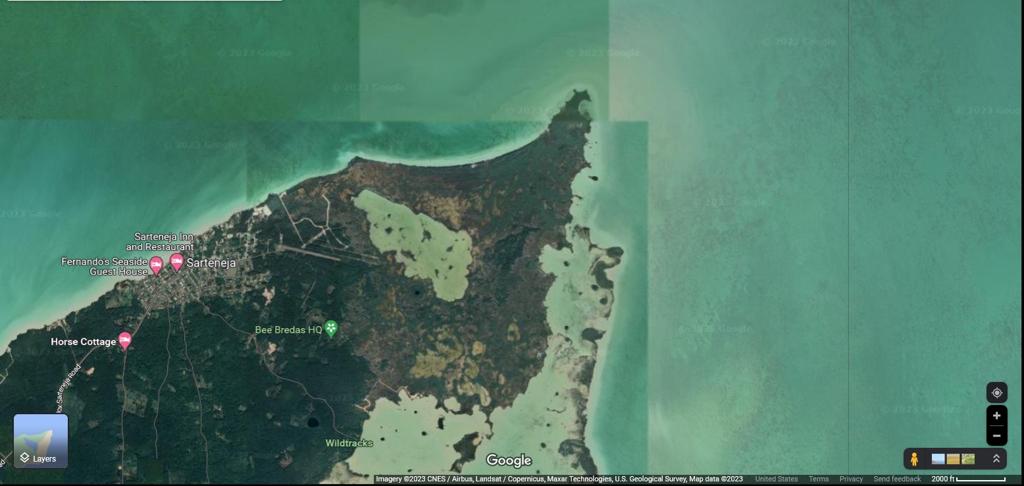 listing image with ID 100232