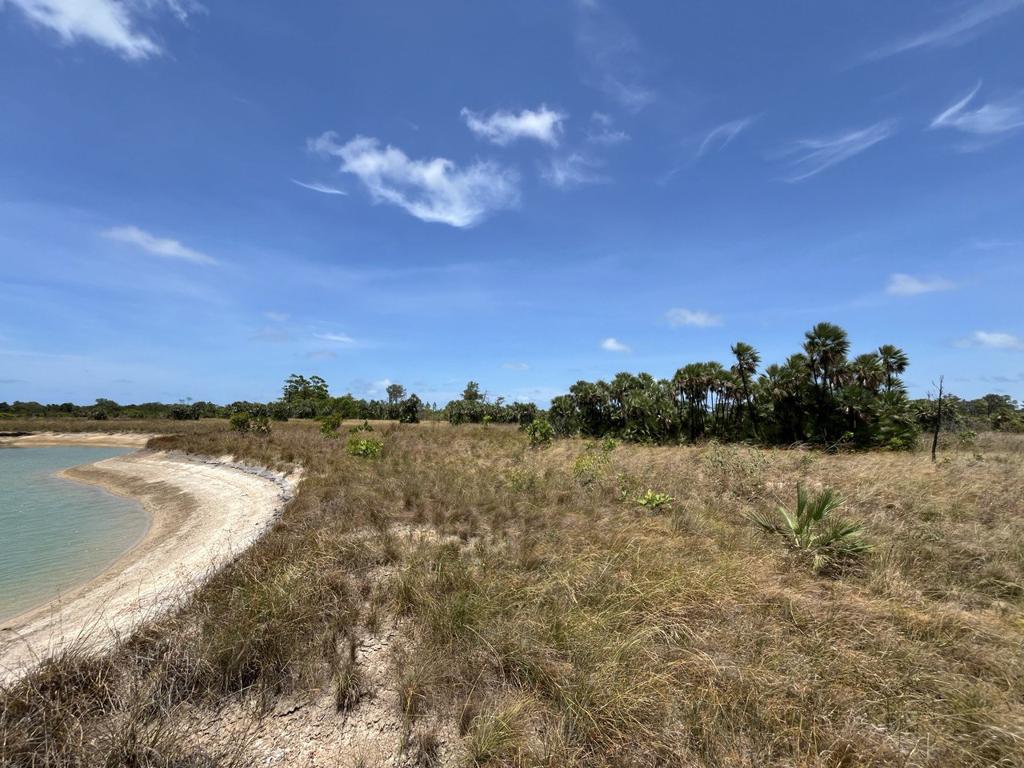 listing image with ID 80453