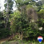 listing image thumbnail with ID 105239