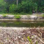 listing image thumbnail with ID 102720