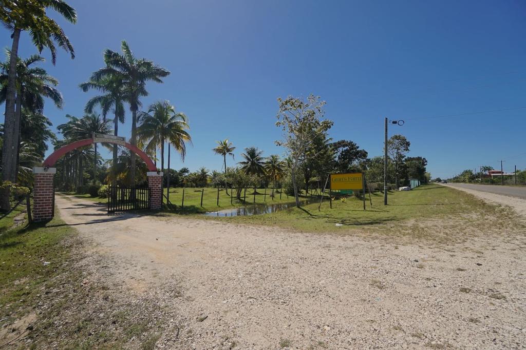 listing image with ID 88081