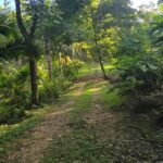 listing image thumbnail with ID 99268