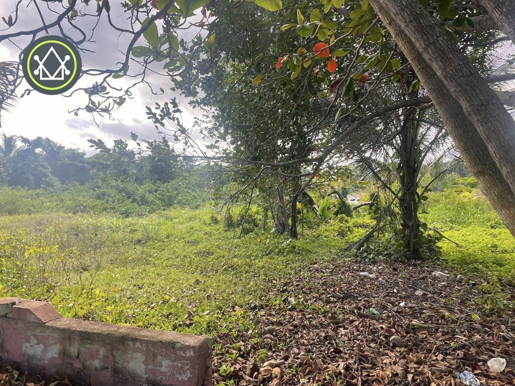 listing image with ID 89099
