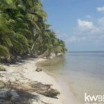 listing image thumbnail with ID 77345