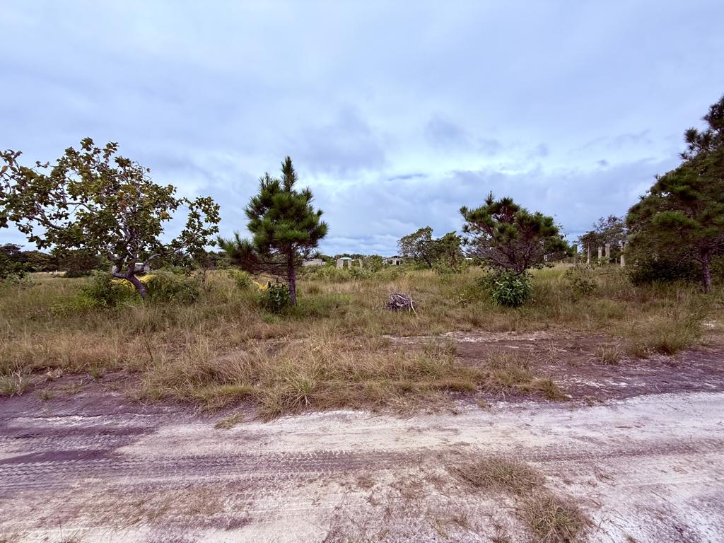 listing image with ID 101056