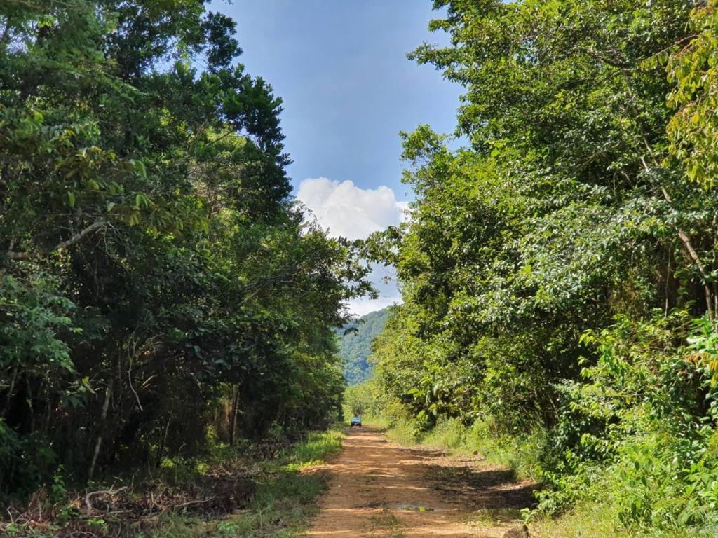 listing image with ID 105389