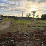 listing image thumbnail with ID 90816