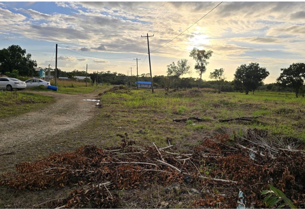 listing image with ID 90816