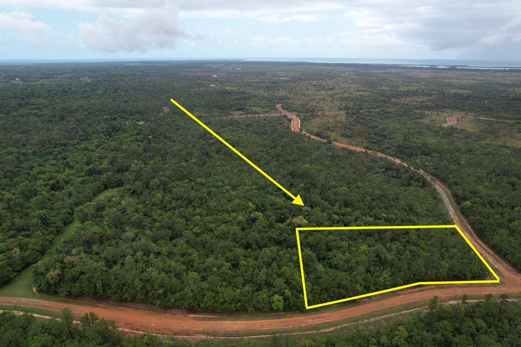 listing image with ID 102685
