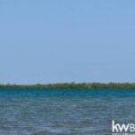 listing image thumbnail with ID 92783