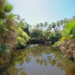 listing image thumbnail with ID 88107