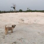 listing image thumbnail with ID 109145