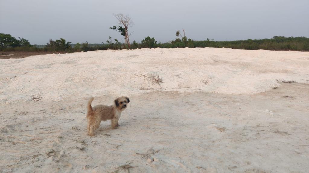 listing image with ID 109145