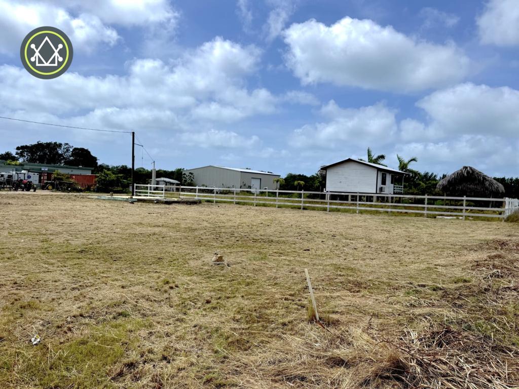 listing image with ID 87464