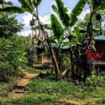 listing image thumbnail with ID 93959