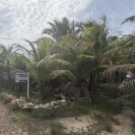 listing image thumbnail with ID 110419