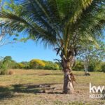 listing image thumbnail with ID 109959