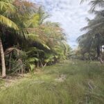 listing image thumbnail with ID 110428