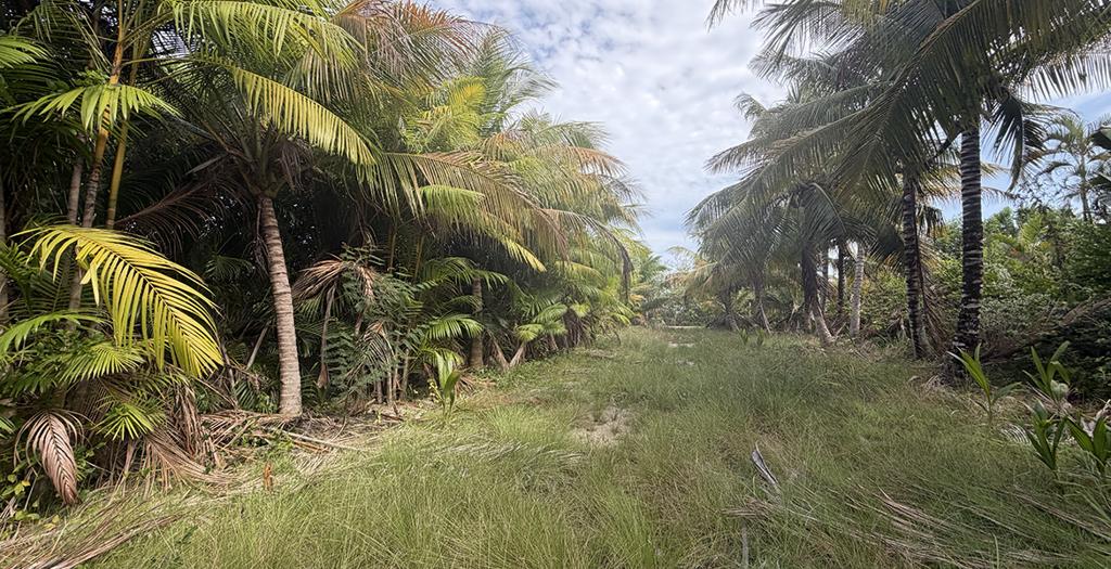listing image with ID 110428