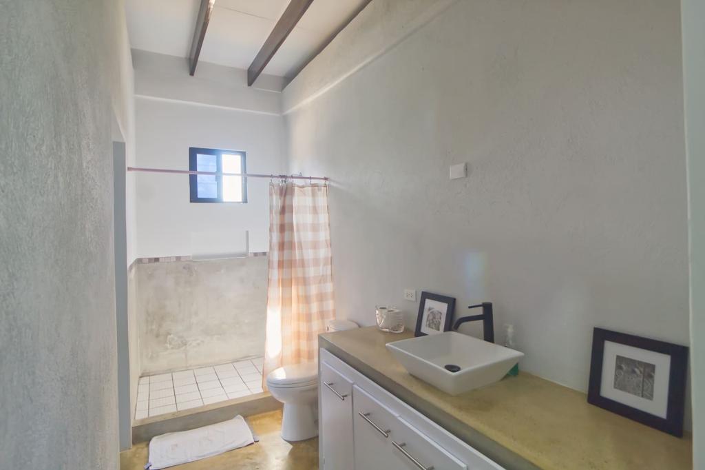 listing image with ID 110310