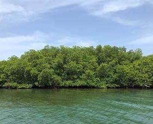 listing image with ID 109744