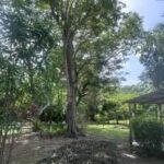 listing image thumbnail with ID 109307