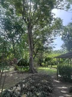listing image with ID 109307